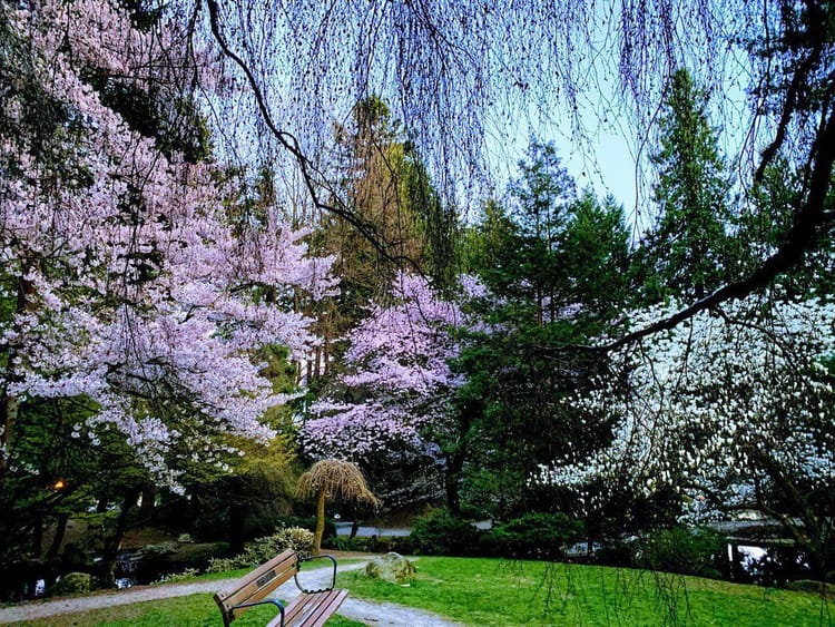 Public Meeting, City Hall Update