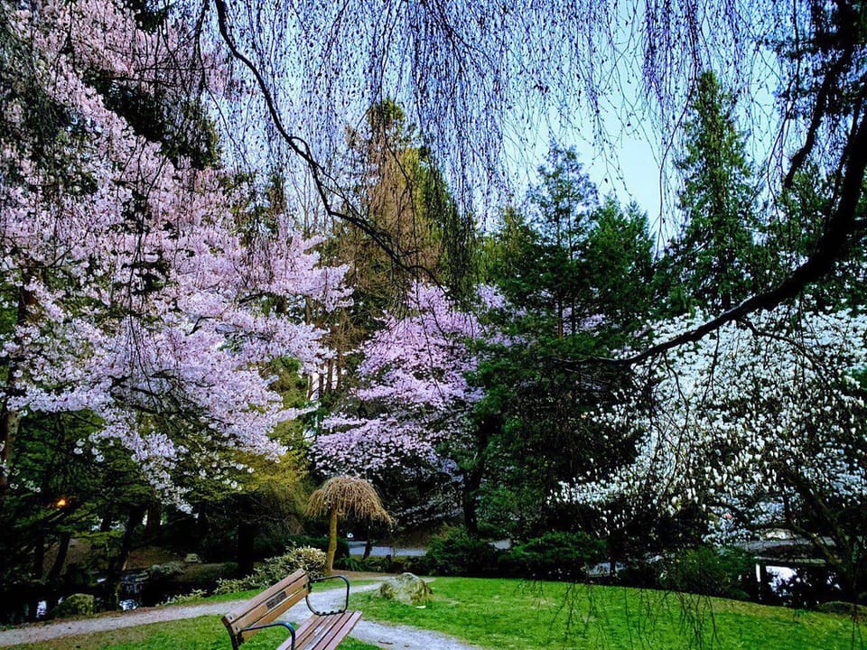 Public Meeting, City Hall Update